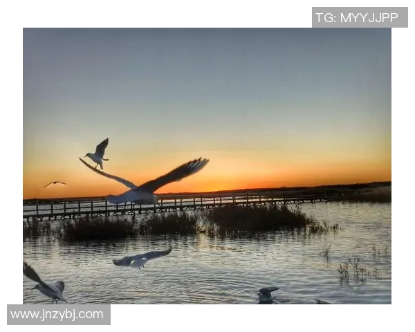 帅哥头像与足球明星的动漫世界探秘，展现青春热血与梦想追逐的完美结合
