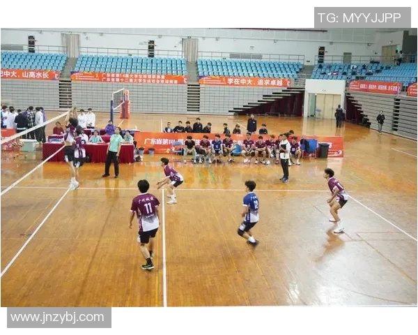 广州排球队荣登排球意识排行榜首位引领全国排球发展新潮流